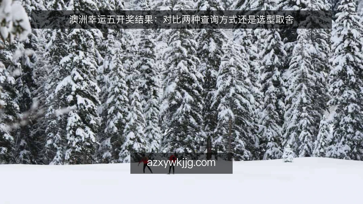 澳洲幸运五开奖结果：对比两种查询方式还是选型取舍